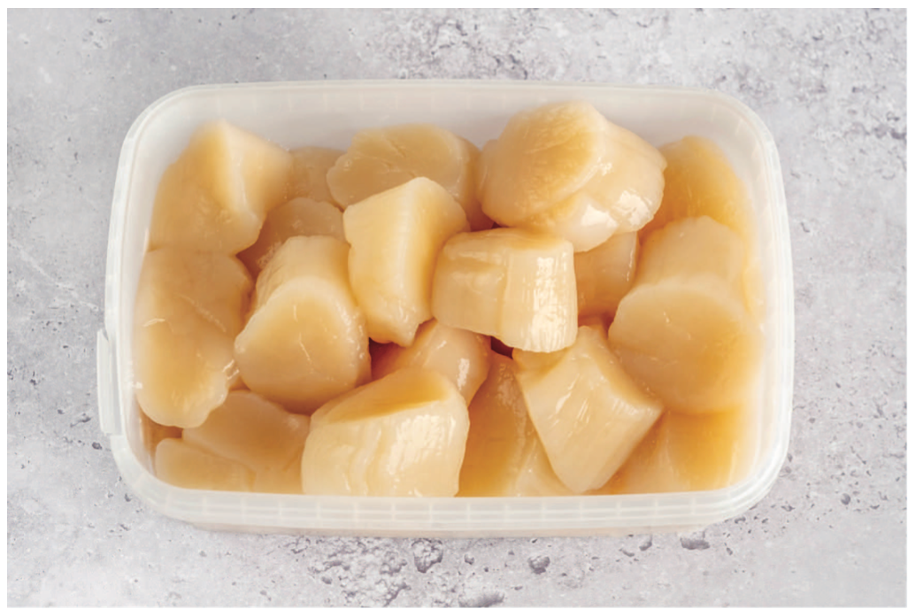 Fresh Scollops In Tub