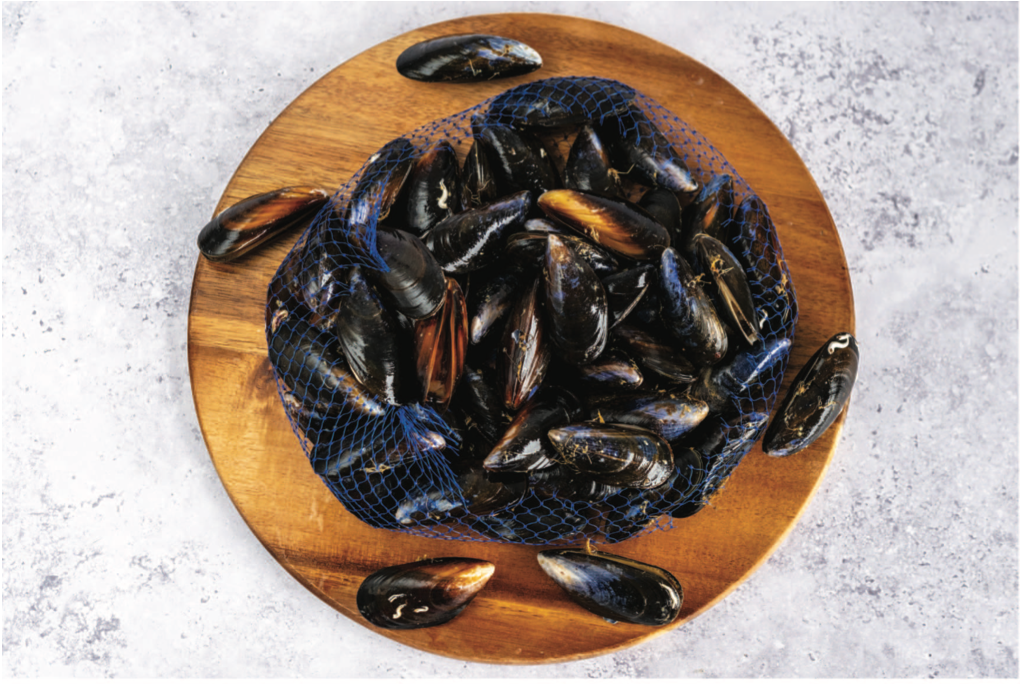 Fresh Mussels