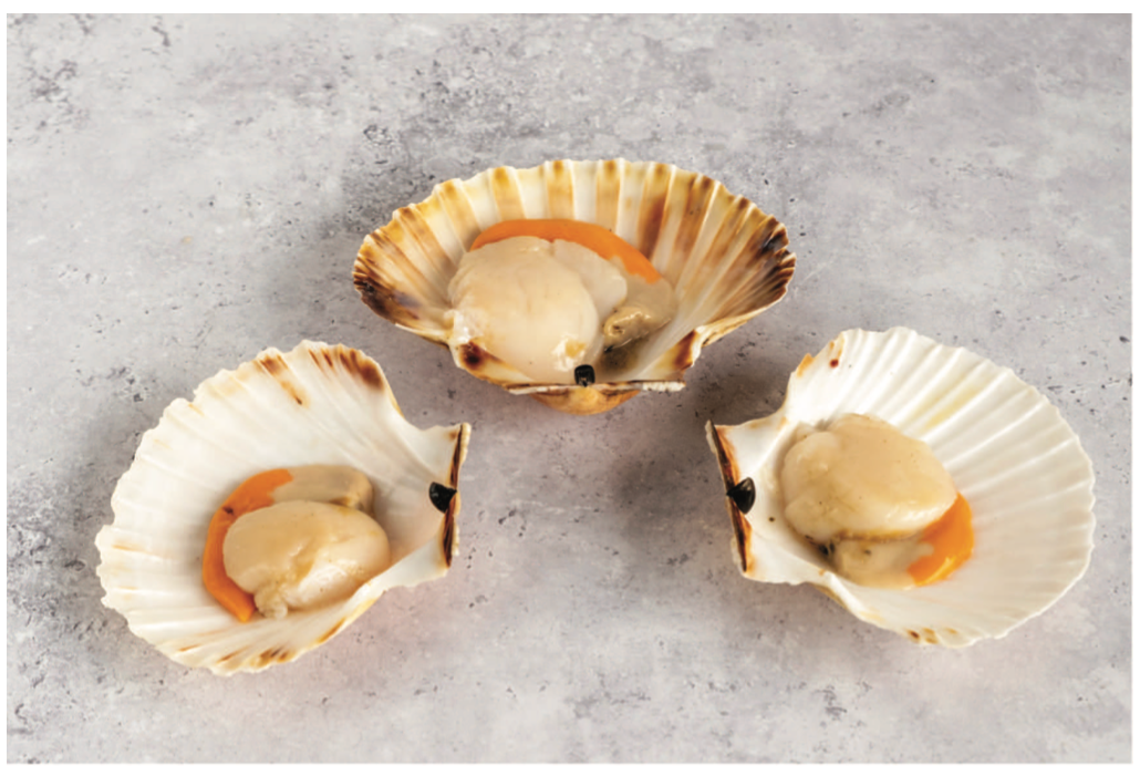 Fresh Scallops In Shell