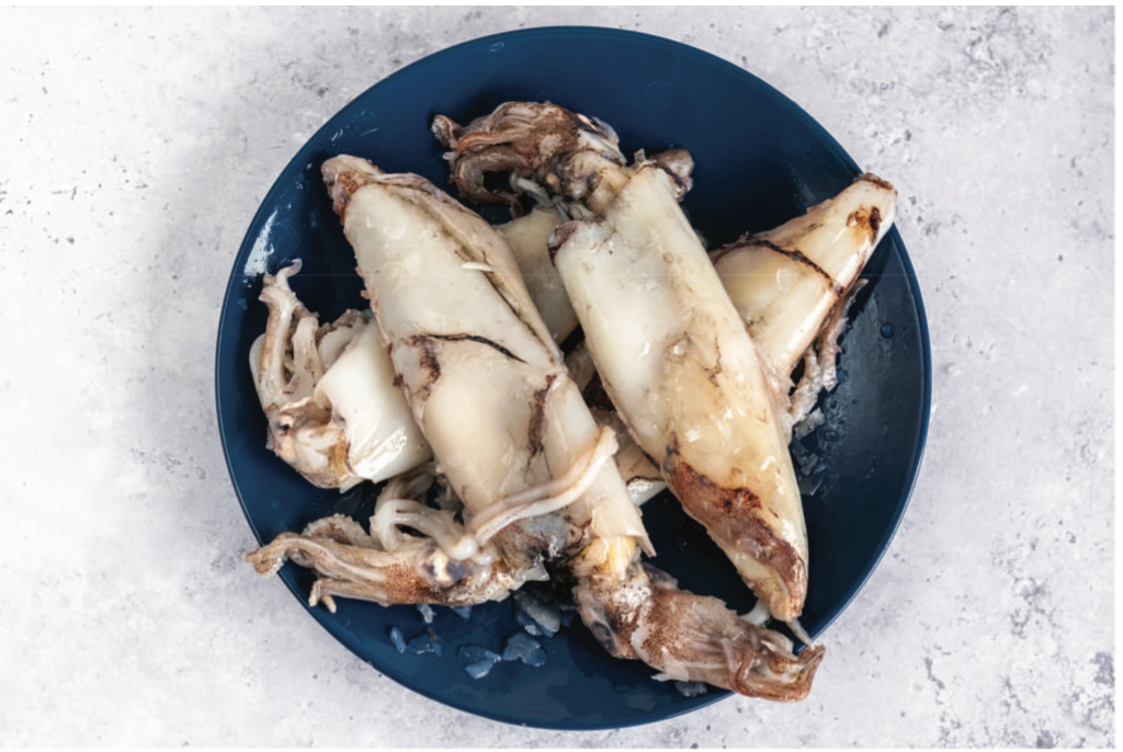 Fresh Squid Scottish