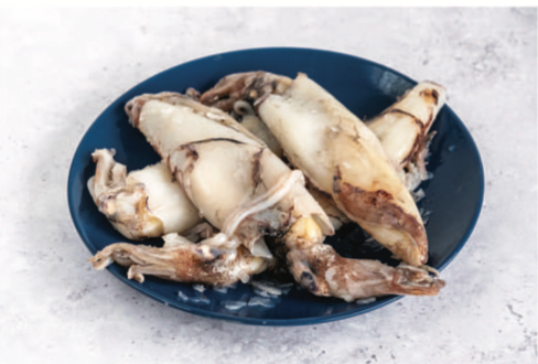 Fresh Squid Scottish