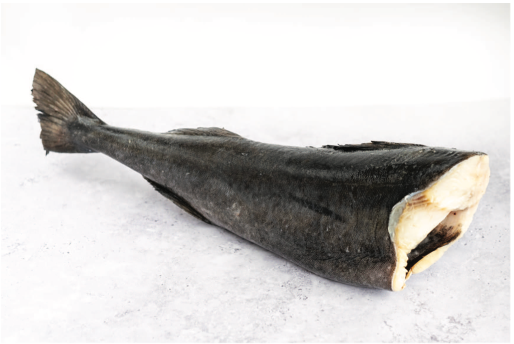 Black Cod