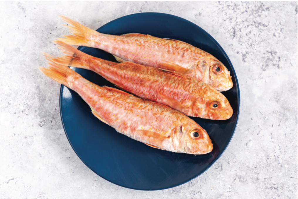 Red Mullet