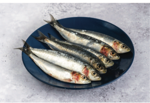 Sardines