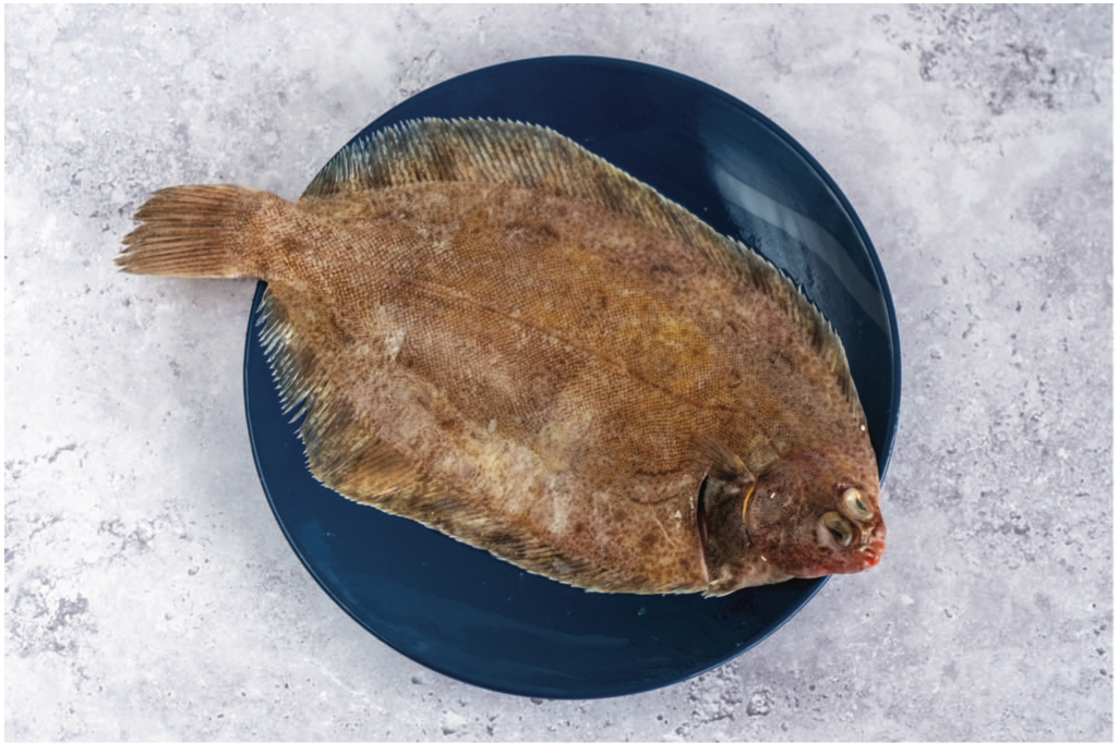 Lemon Sole