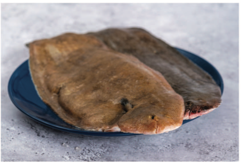 Dover Sole