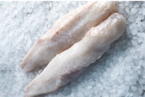 Monkfish Fillet