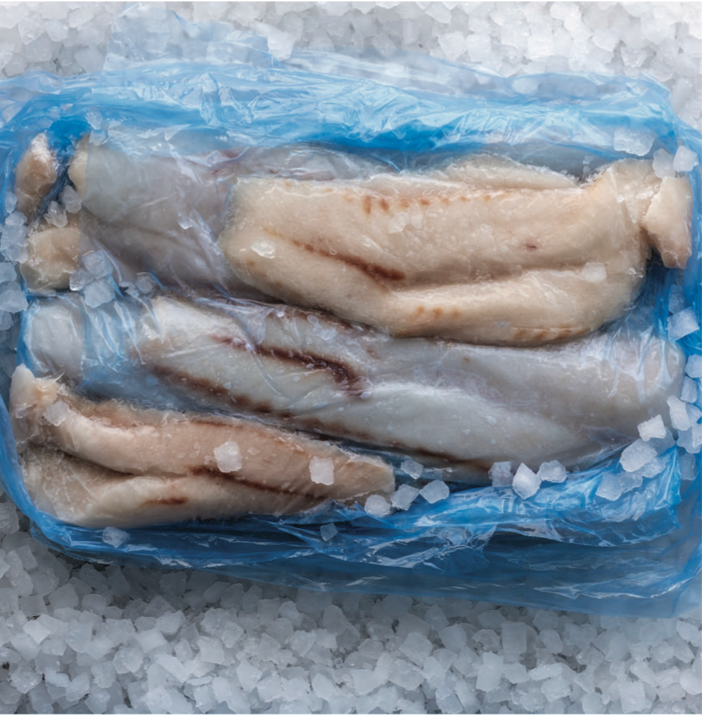 Frozen Monkfish Fillet