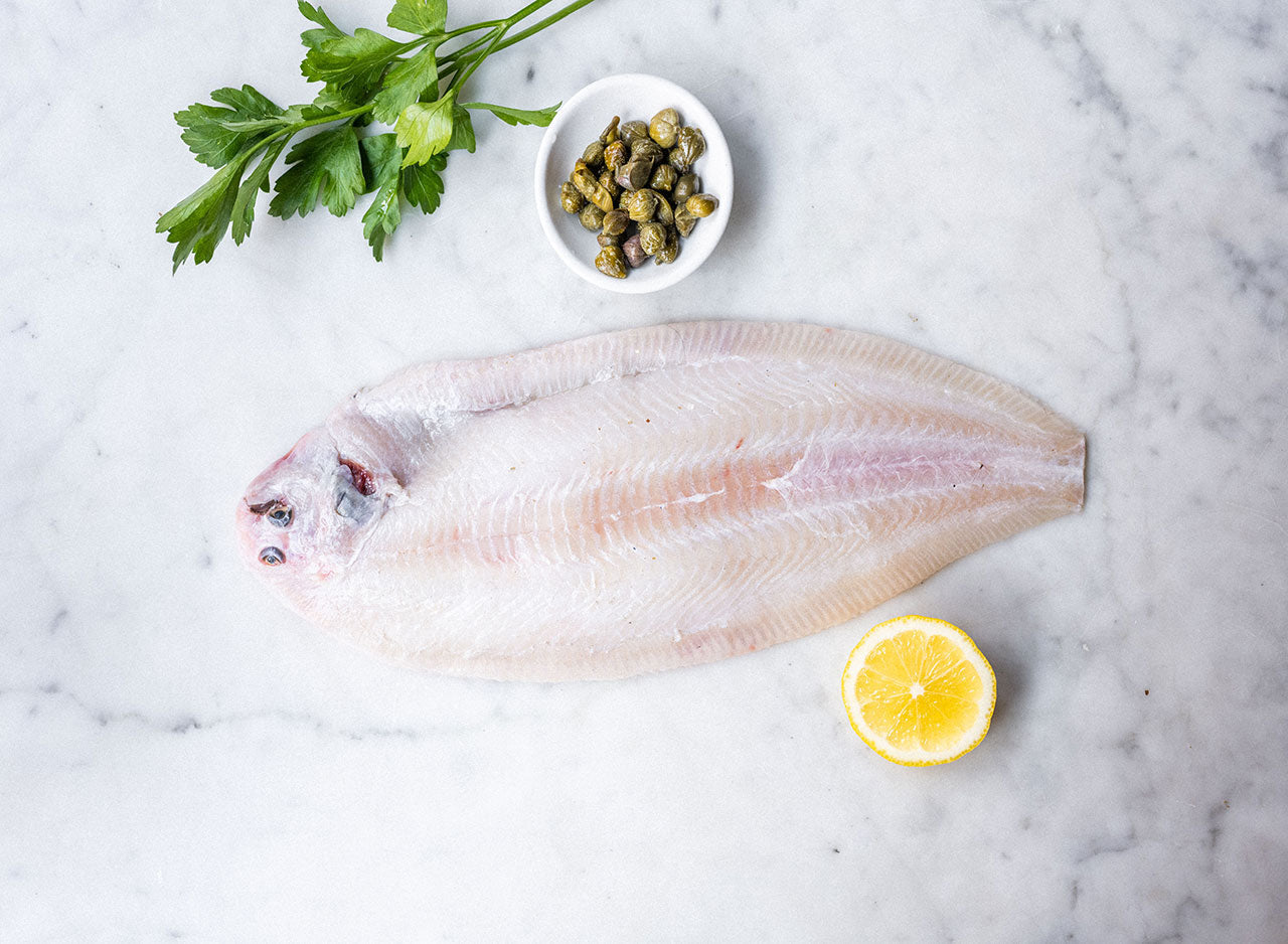 Dover Sole Whole