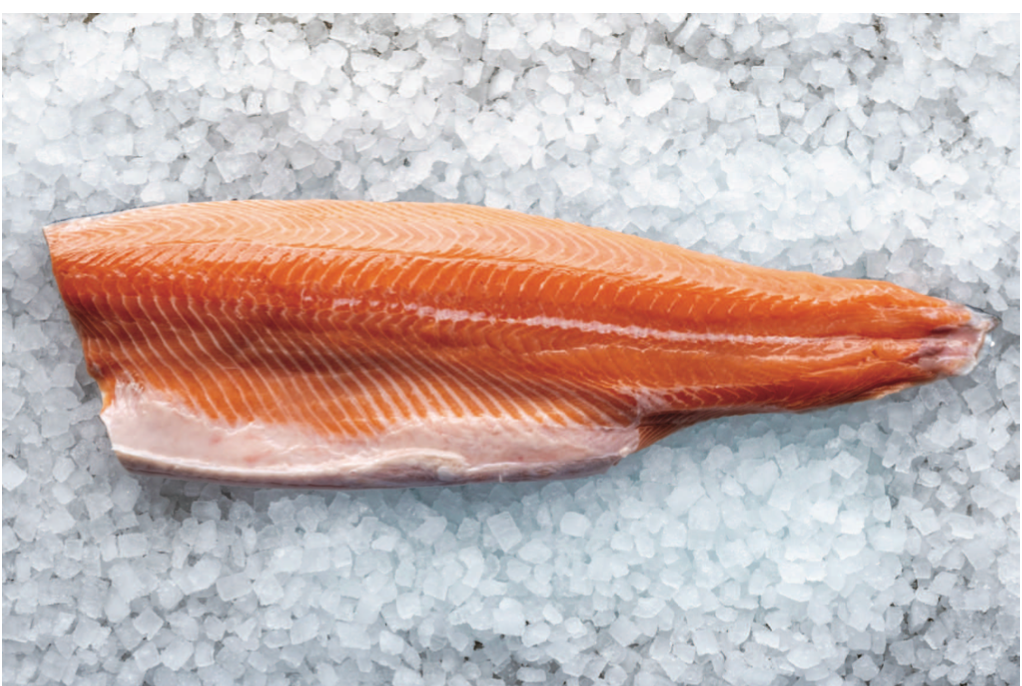Scottish Salmon Fillet