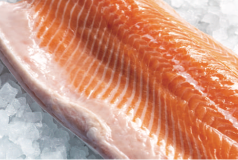 Scottish Salmon Fillet