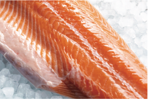 Scottish Salmon Fillet