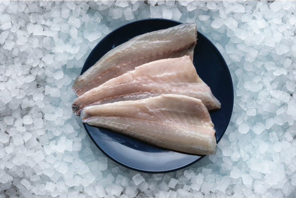 Sea Bass Fillet