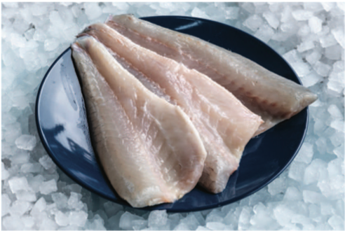 Sea Bass Fillet