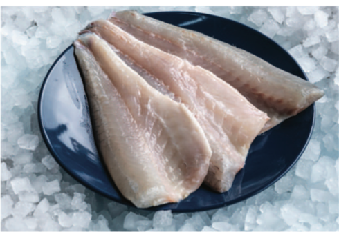 Sea Bass Fillet