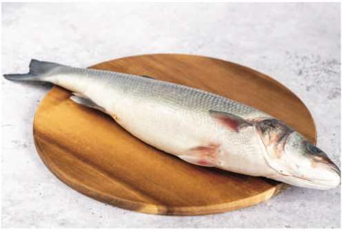 Sea Bass Whole
