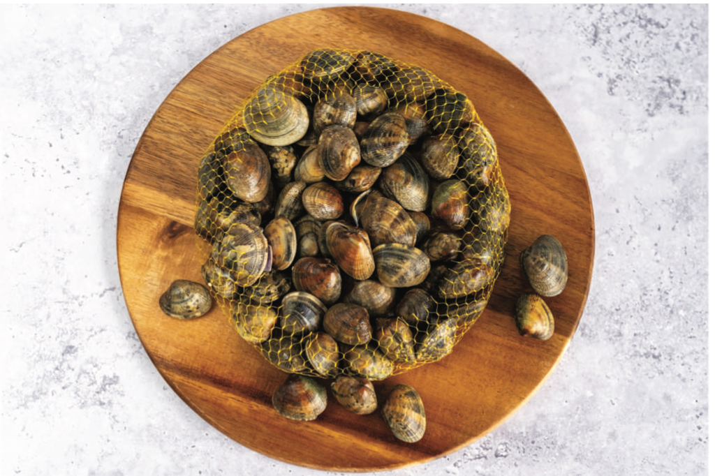 Fresh Clams