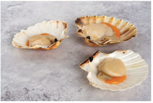 Fresh Scallops In Shell
