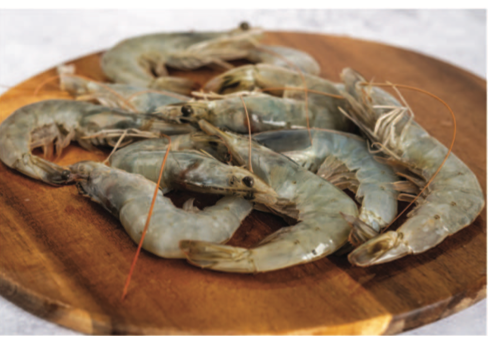 Fresh Prawns