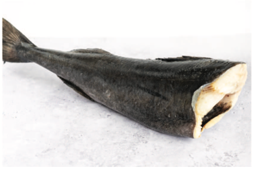 Black Cod