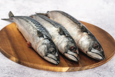 Mackerel