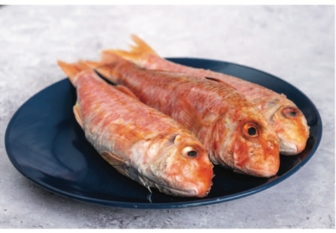 Red Mullet