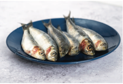 Sardines