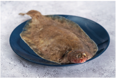 Lemon Sole