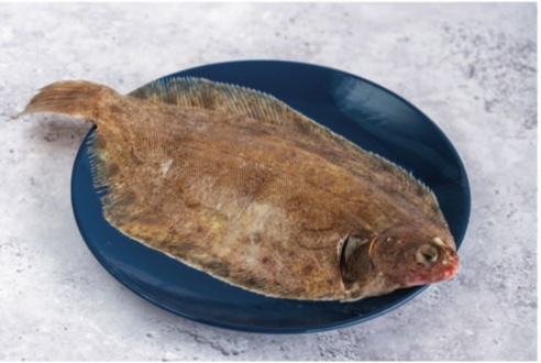 Lemon Sole