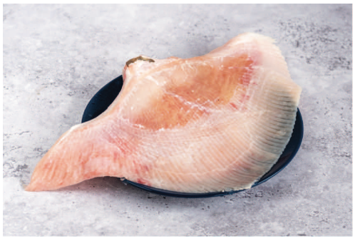 Skate Wings