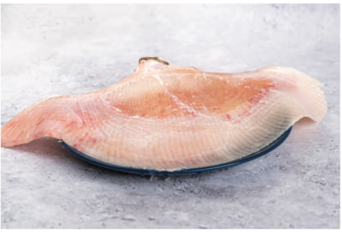 Skate Wings