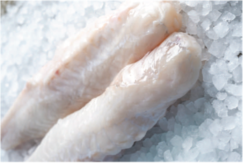 Monkfish Fillet