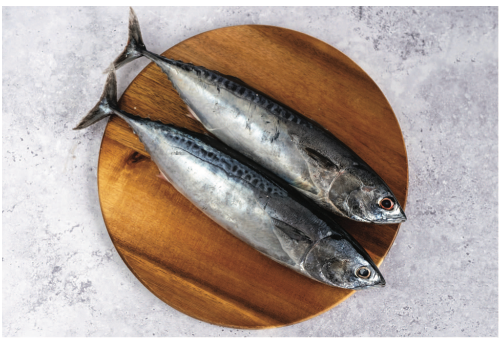 Bonito