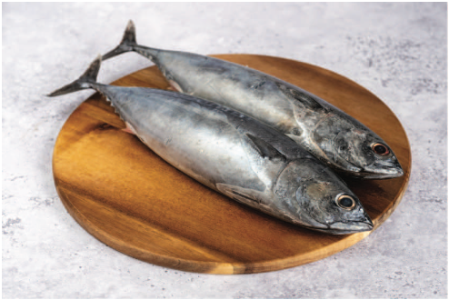 Bonito
