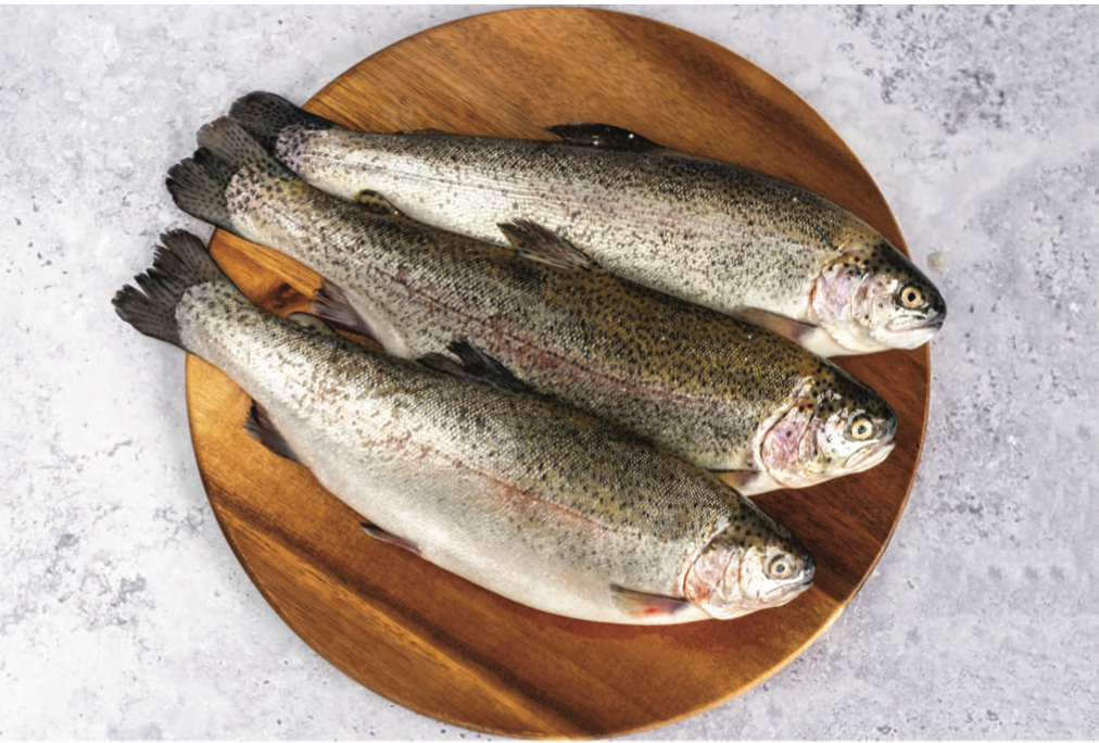 Trout