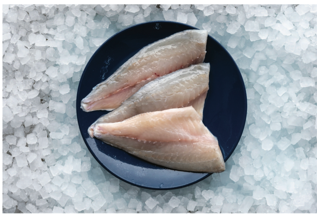 Sea Bream Fillet