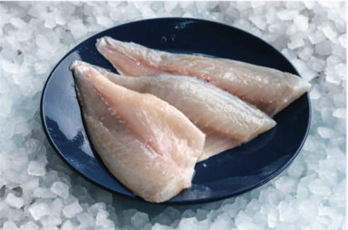 Sea Bream Fillet