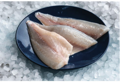 Sea Bream Fillet
