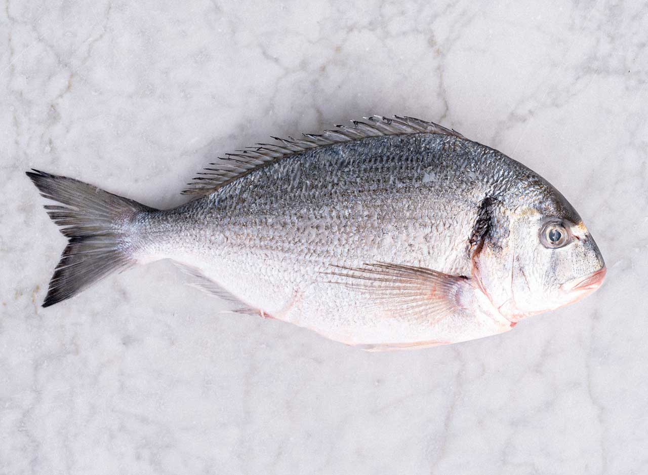 Sea Bream Whole