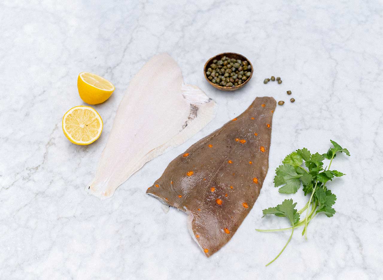 Fresh Plaice Fillets