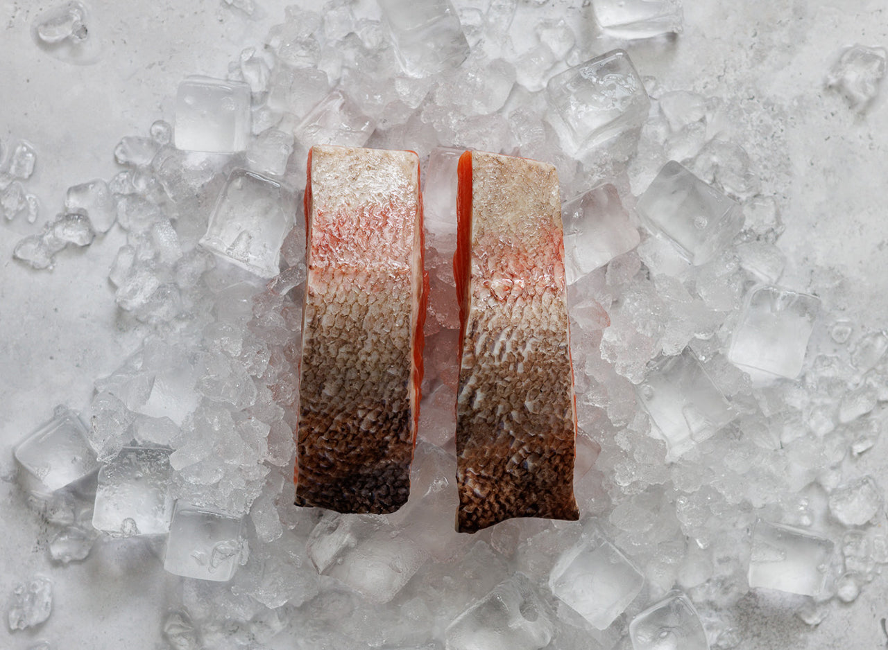 Steelhead Trout Fillets x 2