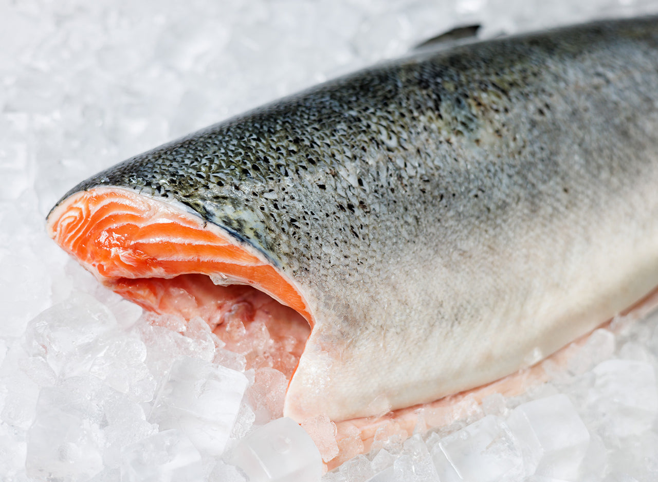 Whole Fresh Var Salmon