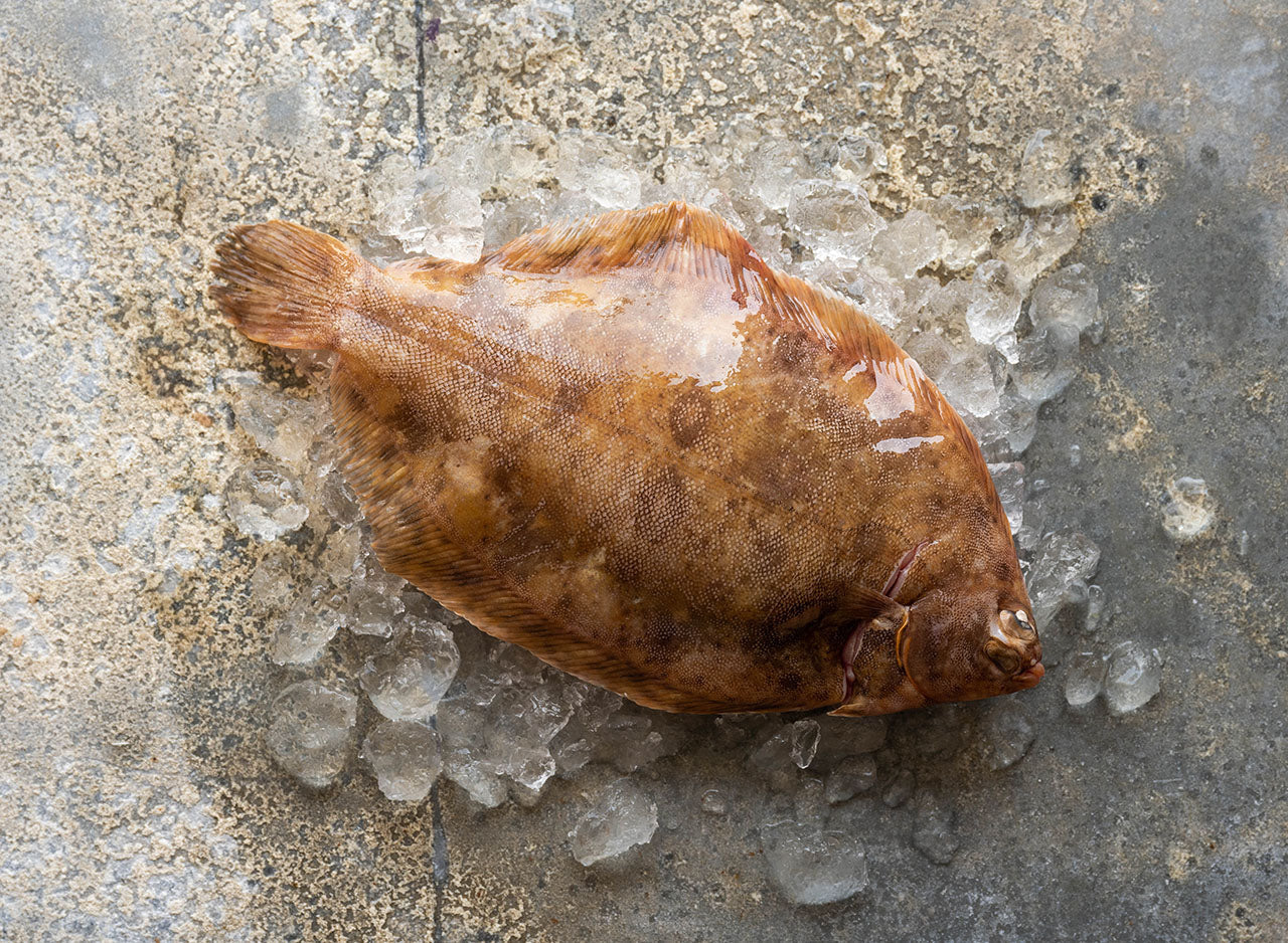 Whole Lemon Sole