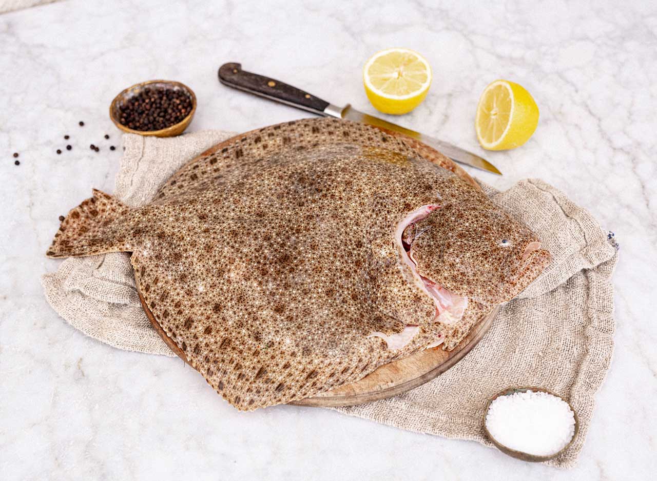 Whole Fresh Wild Turbot